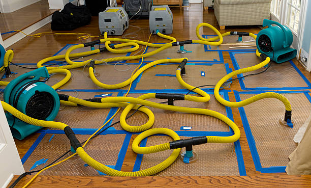 Professional Structural Drying And Dehumidification technician working in Poplarville, MS