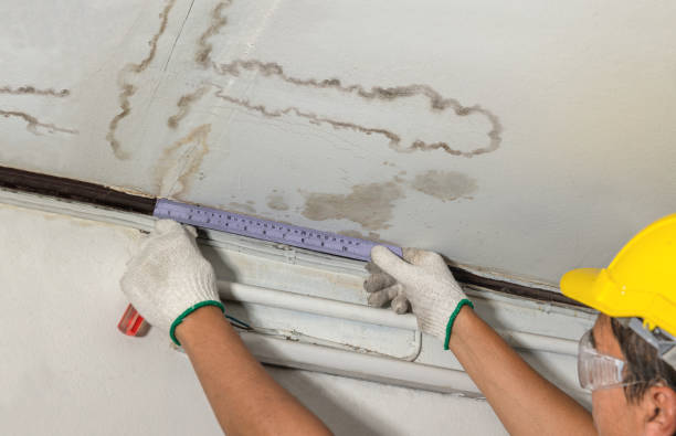 Affordable Water Damage Repair solutions in Poplarville, MS